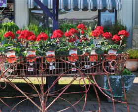 Van Loon's Nursery - Attractions Melbourne 0