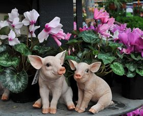 Van Loon's Nursery - Attractions Melbourne 2