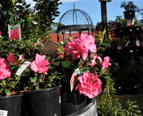 Van Loon's Nursery - Attractions Melbourne 1