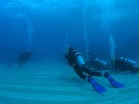 Man And Wife Rocks Dive Site - Attractions Melbourne 0