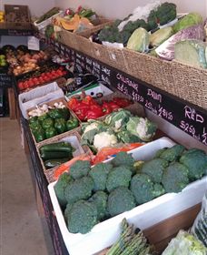 Farmers Harvest - Attractions Melbourne 1