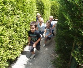 Hedgend Maze And Healesville Laser Sport - Attractions Melbourne 1