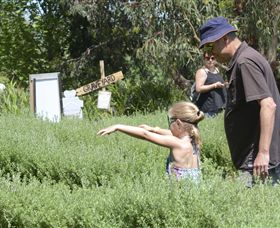 Hedgend Maze And Healesville Laser Sport - Attractions Melbourne 2