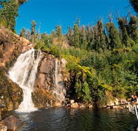 Steavenson Falls Marysville - Attractions Melbourne