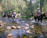 Howqua Hills Historic Area