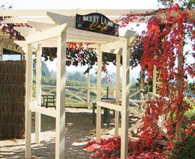 Blue Hills Berries & Cherries - Attractions Melbourne 1