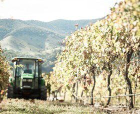 Logan Wines - Attractions Melbourne 5