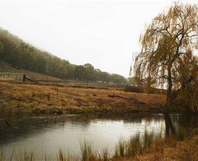 Logan Wines - Attractions Melbourne 6
