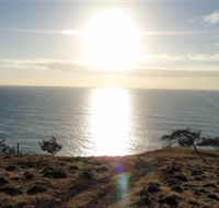 Southend Curtis Island - Attractions Melbourne