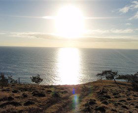Southend Curtis Island - Attractions Melbourne 1