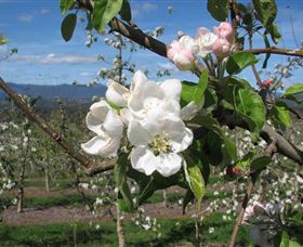 Mouat's Farm - Attractions Melbourne 0