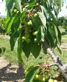 Mouat's Farm - Attractions Melbourne 2
