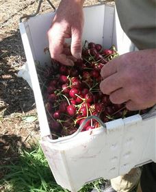 Mouat's Farm - Attractions Melbourne 3