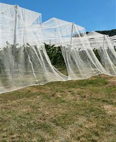 Mouat's Farm - Attractions Melbourne 5
