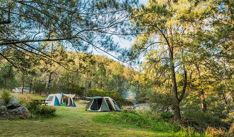 Warrabah National Park - Attractions Melbourne 1