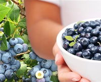 Jolly Berries