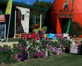 Gayndahs Big Orange - Attractions Melbourne 1