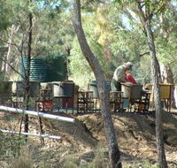 7 Oaks Sapphire Fossicking - Attractions Melbourne