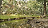 Book Glen Alice Accommodation Vacations Attractions Melbourne Attractions Melbourne
