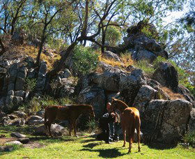 Coomba Falls - Attractions Melbourne 0