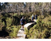 Hume and Hovell Walking Track - Henry Angel Trackhead