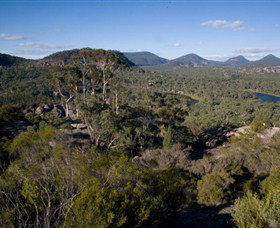 Dunns Swamp - Attractions Melbourne 0