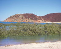 Hearsons Cove