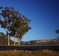 Capertee Valley Bird Trail - Attractions Melbourne