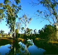 Dingo Creek Park - Attractions Melbourne