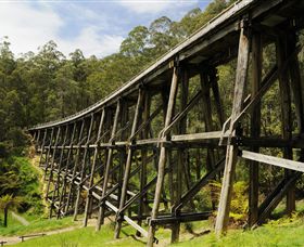 Noojee Trestle Bridge - Attractions Melbourne 0