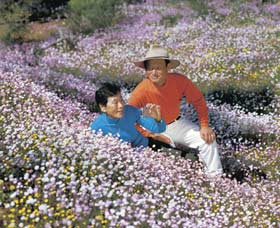Canna Reserve - Attractions Melbourne 3