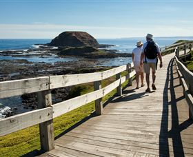 Phillip Island Nature Parks - Attractions Melbourne 3