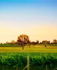 Canberra District Wineries