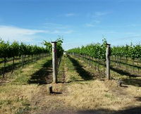 Kerralee Wines