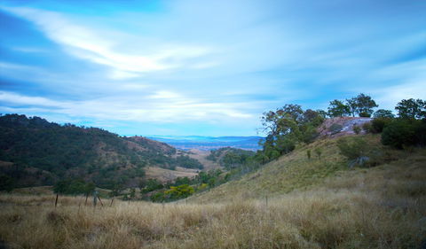 Burning Mountain Nature Reserve - Attractions Melbourne 0