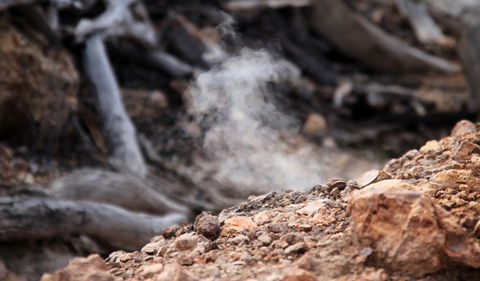 Burning Mountain Nature Reserve - Attractions Melbourne 1