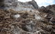 Burning Mountain Nature Reserve - thumb 2