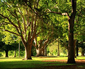 Queens Park, Toowoomba - Attractions Melbourne 1