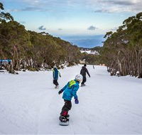 Mt Baw Baw Alpine Resort - Attractions Melbourne