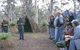 Dryandra Woodland - thumb 2