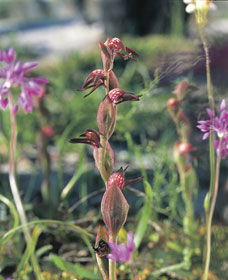  Attractions Melbourne