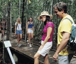 Toowoomba Water Bird Habitat - Attractions Melbourne 1