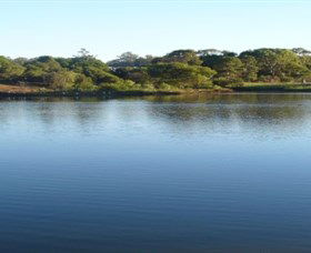 Toowoomba Water Bird Habitat - Attractions Melbourne 2