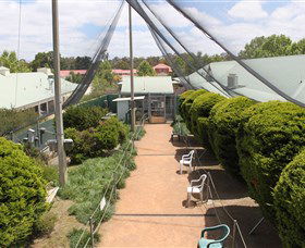 Canberra Walk In Aviary - Attractions Melbourne 2