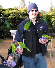 Canberra Walk In Aviary - Attractions Melbourne 0