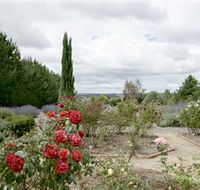 Crystal Brook Lavender Farm - Attractions Melbourne