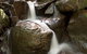 Arc-en-Ciel Trout Farm - thumb 1