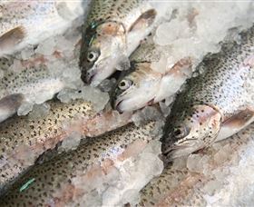 Arc-en-Ciel Trout Farm - Attractions Melbourne 3