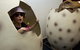 National Dinosaur Museum - thumb 2