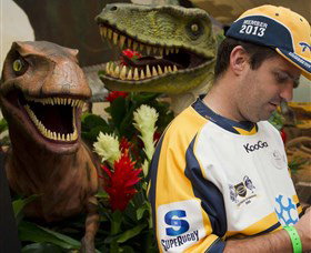 National Dinosaur Museum - Attractions Melbourne 3